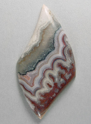 paisley plume