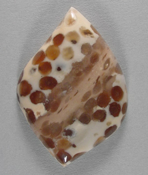 oolite