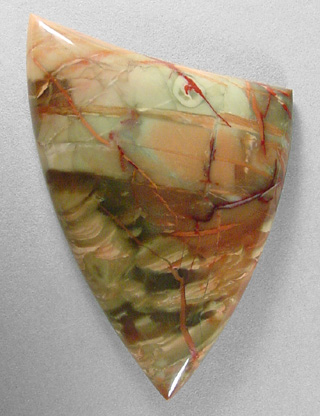 carasite