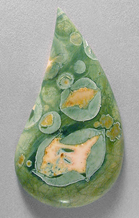 rainforest jasper cab