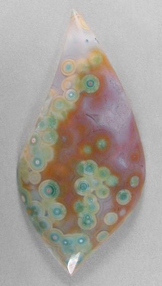 ogocean