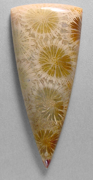 Coral