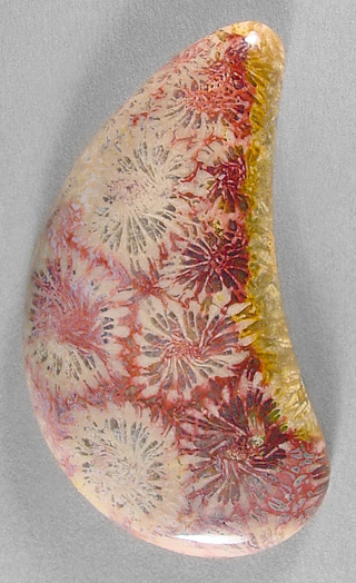 Coral