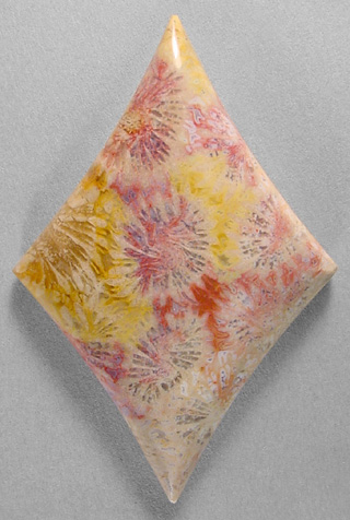 Coral