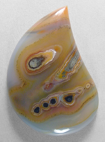 piranha
