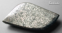 pyritized dinosaur bone