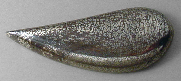 pyritized dinosaur bone