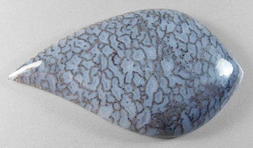 blue dinosaur bone