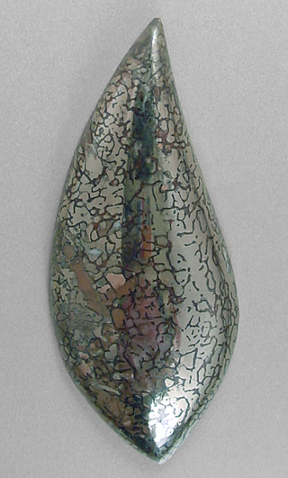 pyritized dinosaur bone