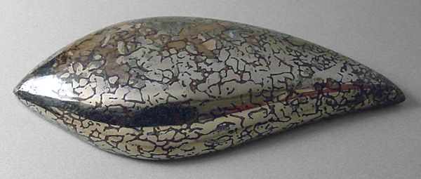 pyritized dinosaur bone