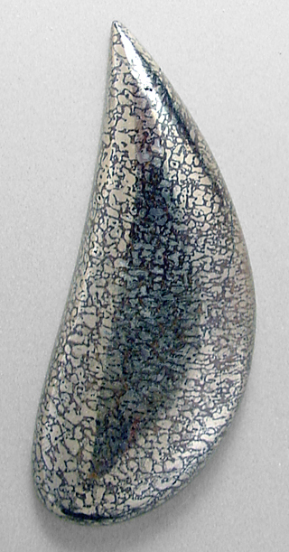 pyritized dinosaur bone