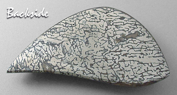 pyritized dinosaur bone