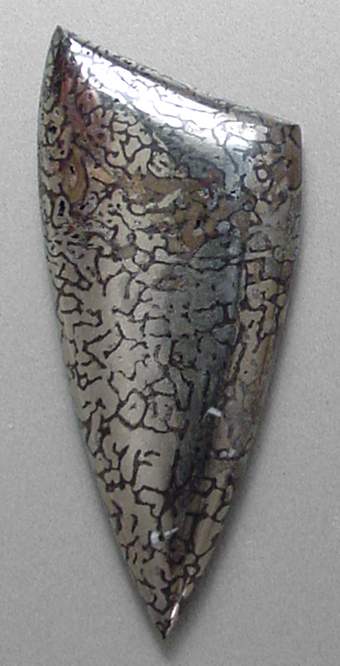 pyritized dinosaur bone