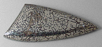 pyritized dinosaur bone