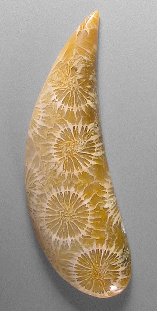 Coral