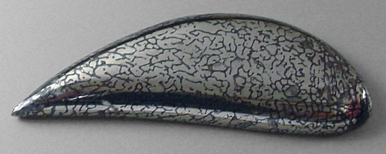 pyritized dinosaur bone