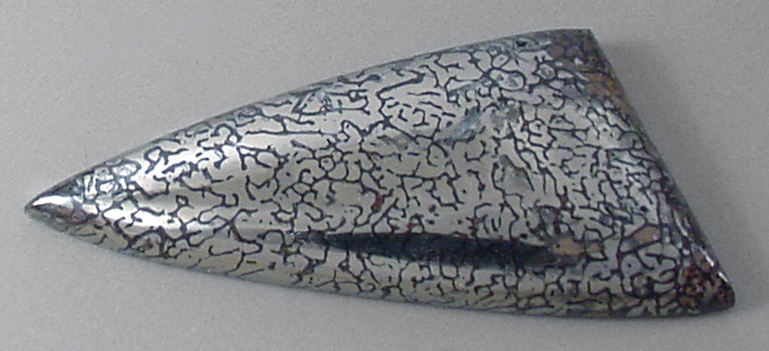 pyritized dinosaur bone