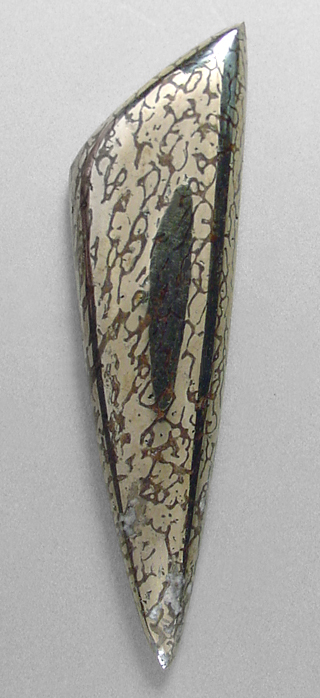 pyritized dinosaur bone