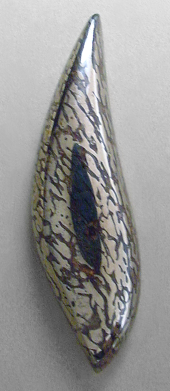 pyritized dinosaur bone
