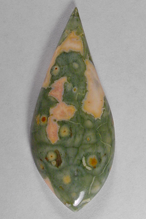 rain forest jasper