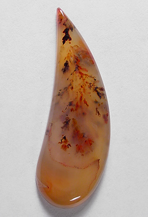 Woodward ranch plume