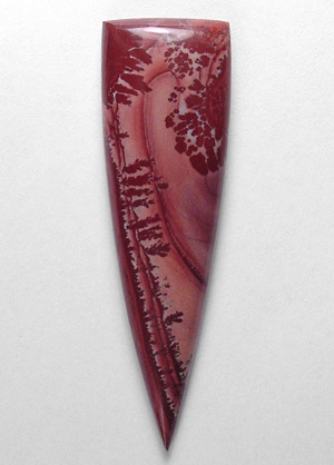 mimbres