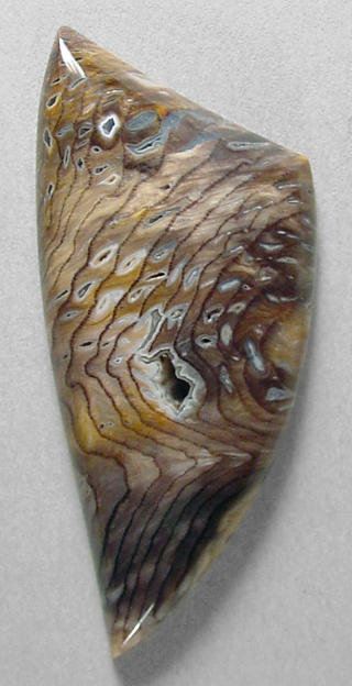 apetwood